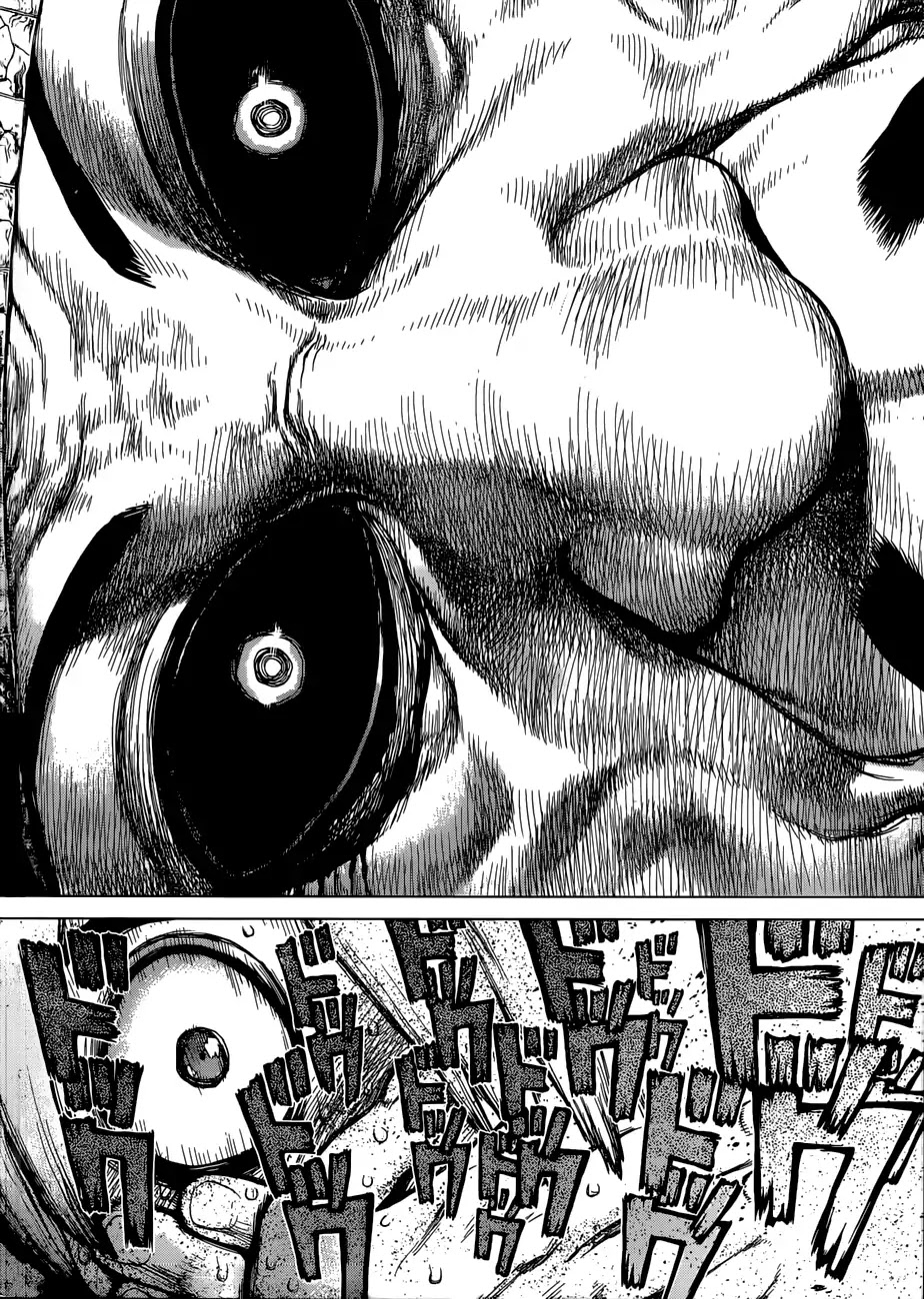 Read DrStone Manga Online