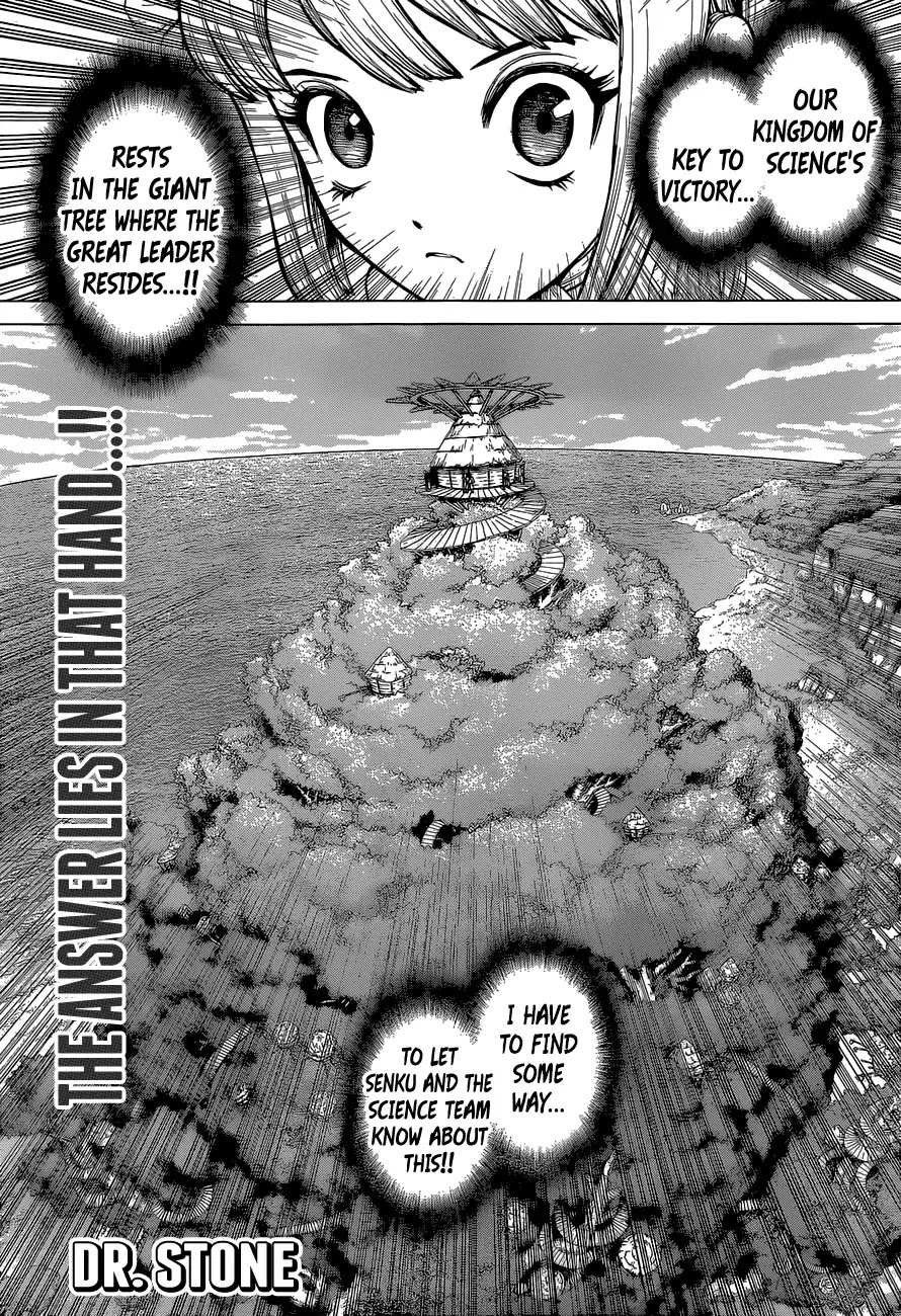 Read DrStone Manga Online