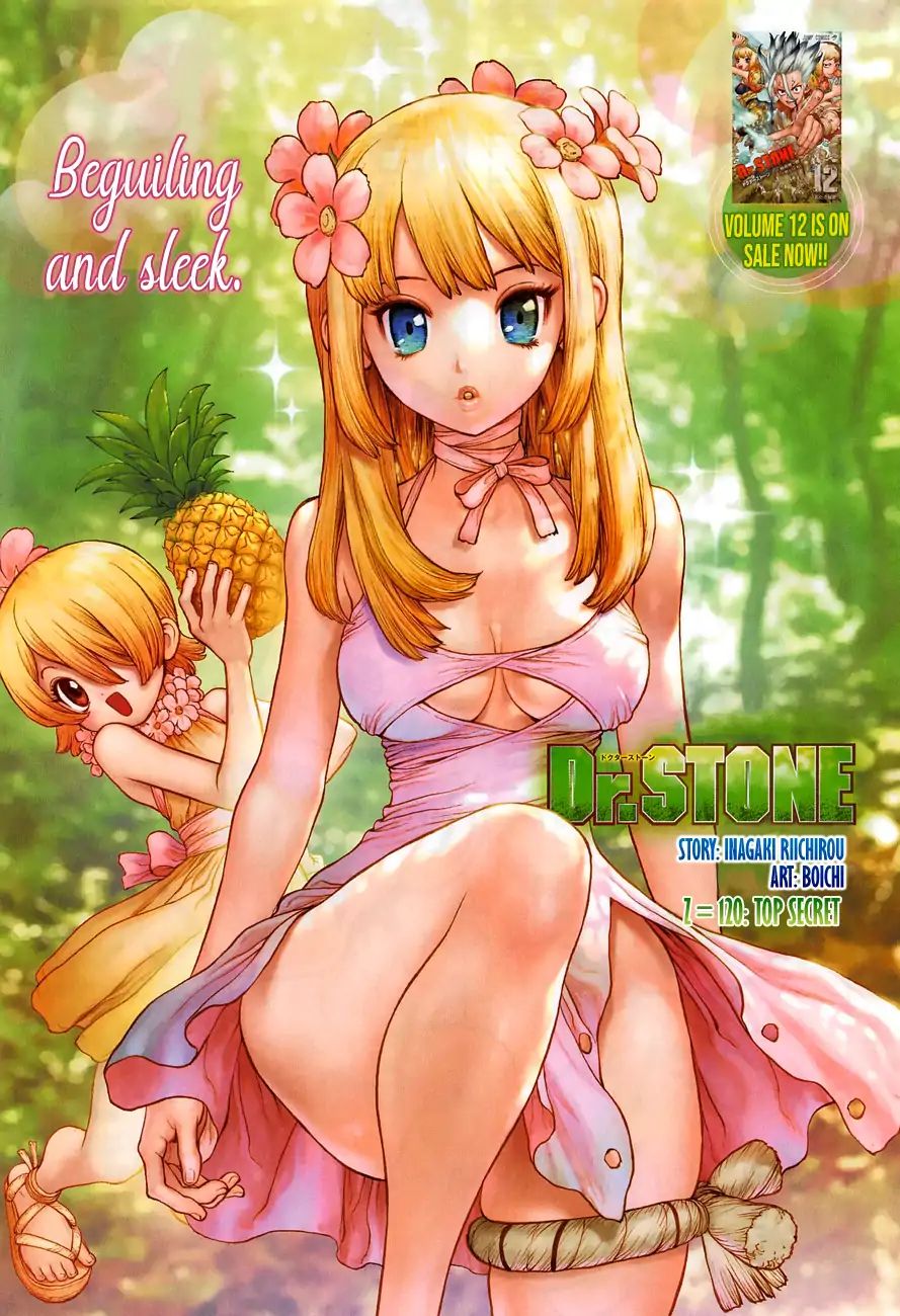 Read DrStone Manga Online