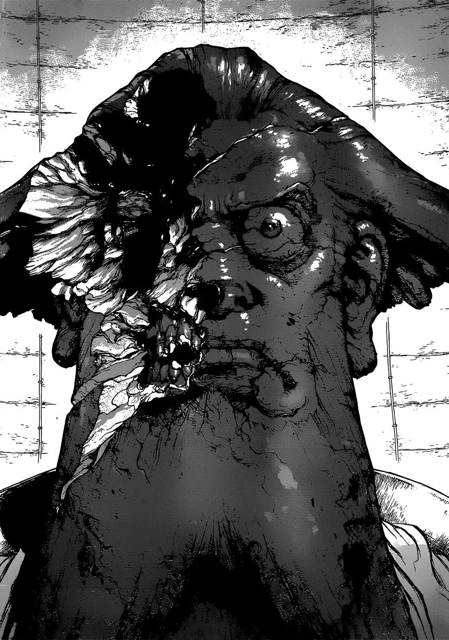 Read DrStone Manga Online