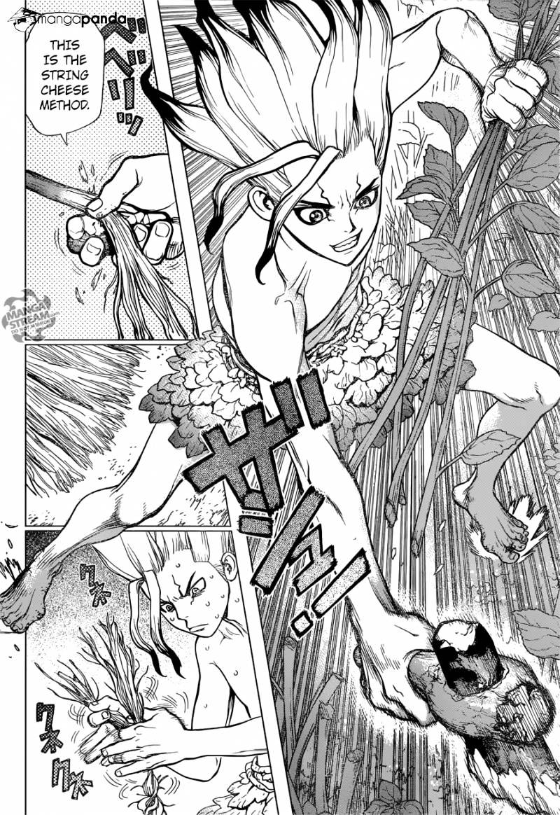 Read DrStone Manga Online
