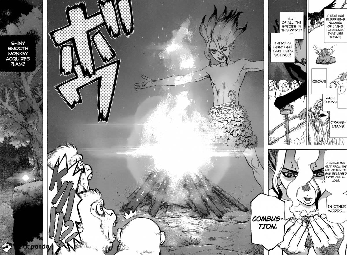 Read DrStone Manga Online