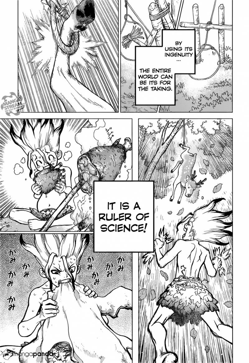 Read DrStone Manga Online