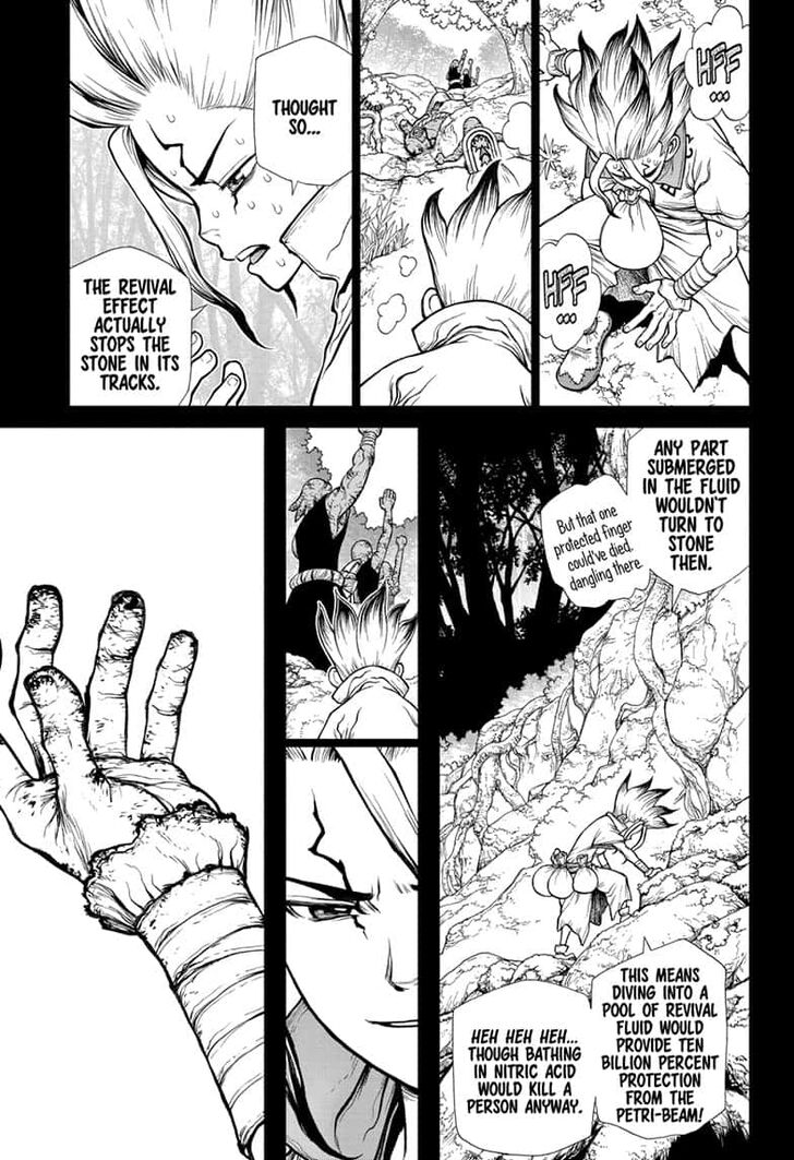 Read DrStone Manga Online