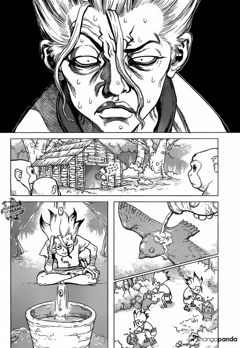 Read DrStone Manga Online