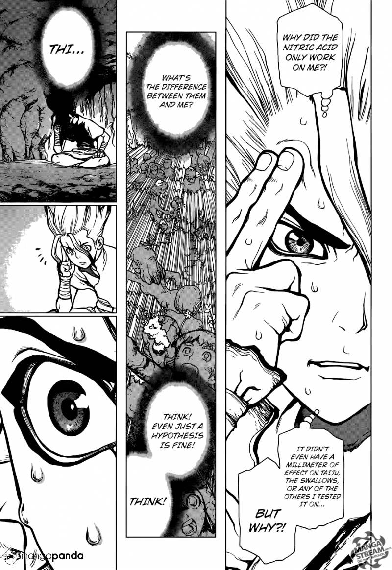 Read DrStone Manga Online