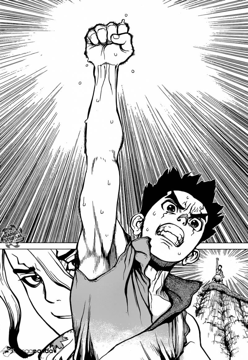 Read DrStone Manga Online