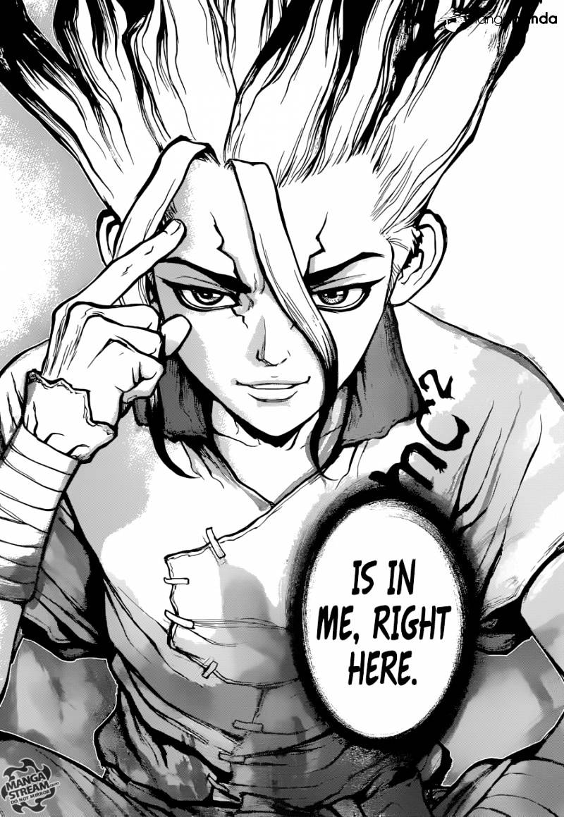 Read DrStone Manga Online
