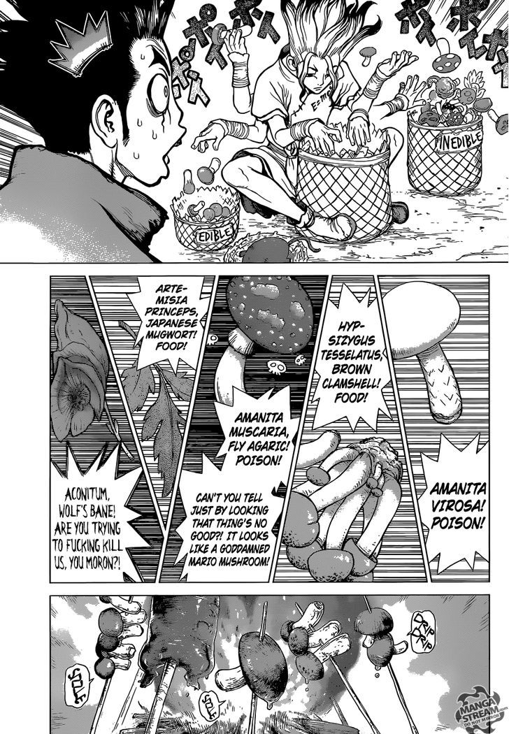 Read DrStone Manga Online