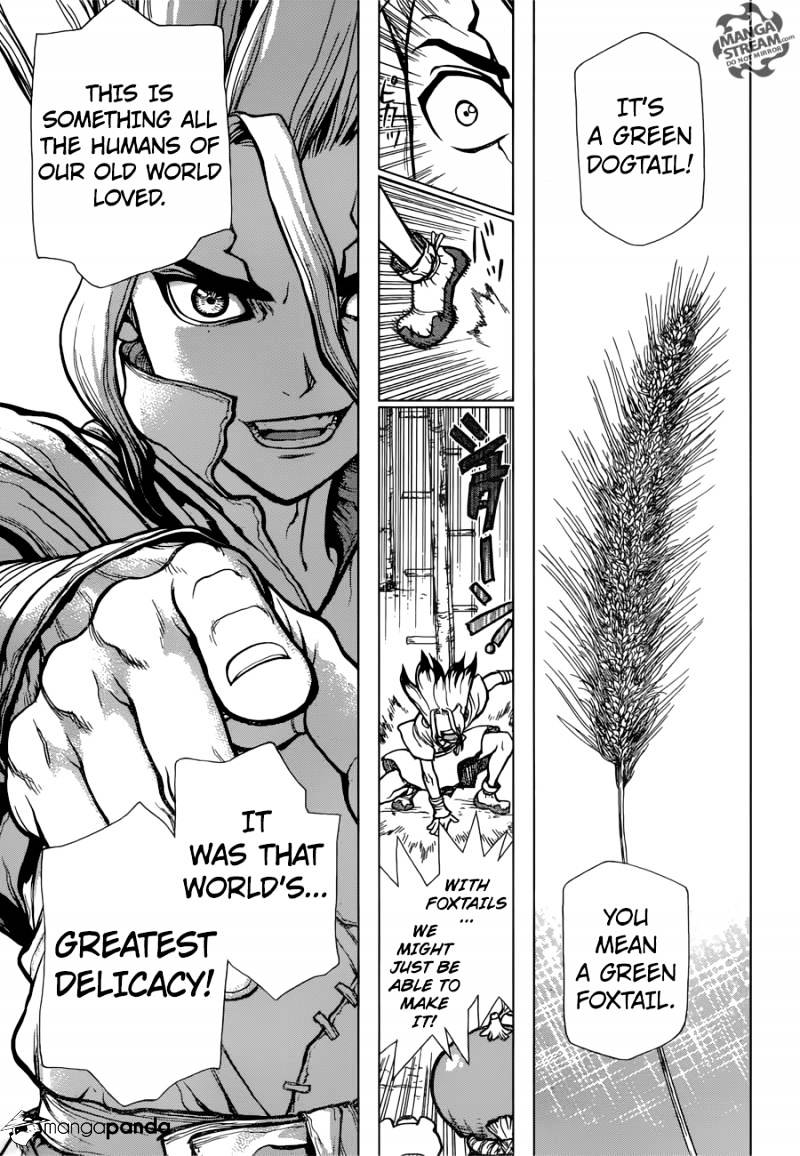 Read DrStone Manga Online