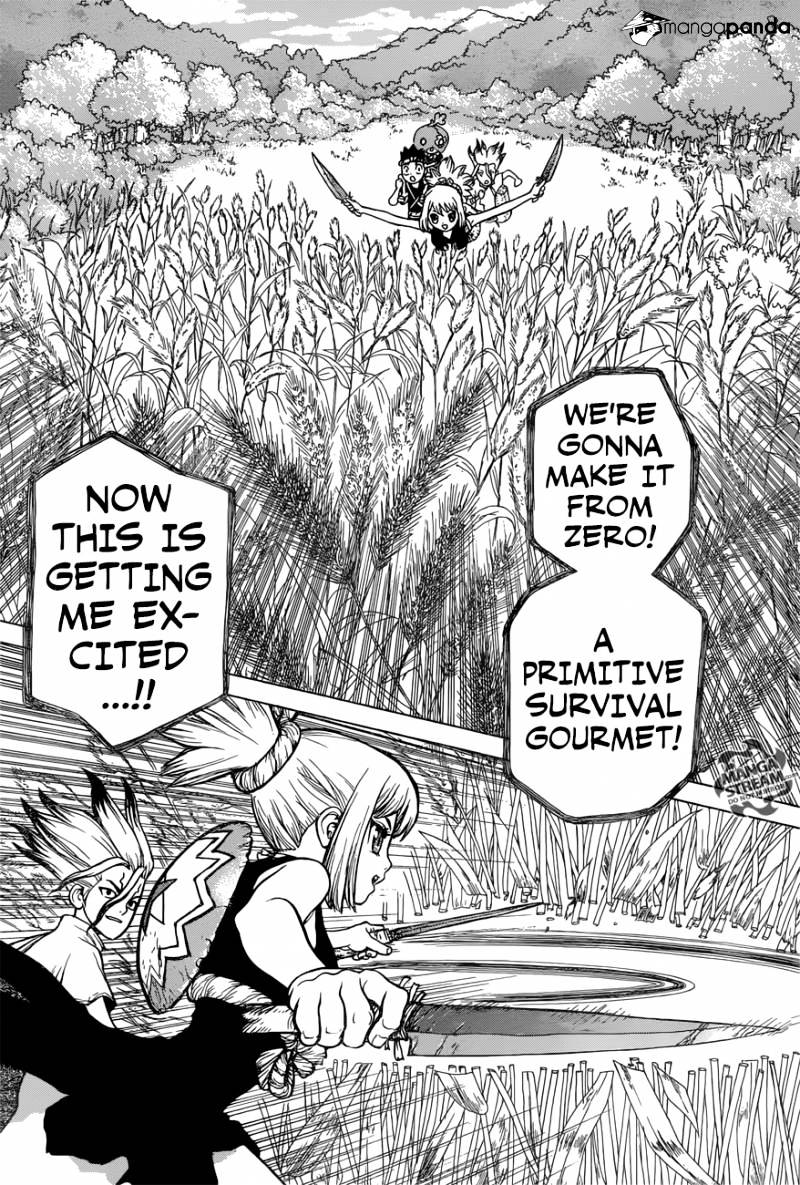 Read DrStone Manga Online