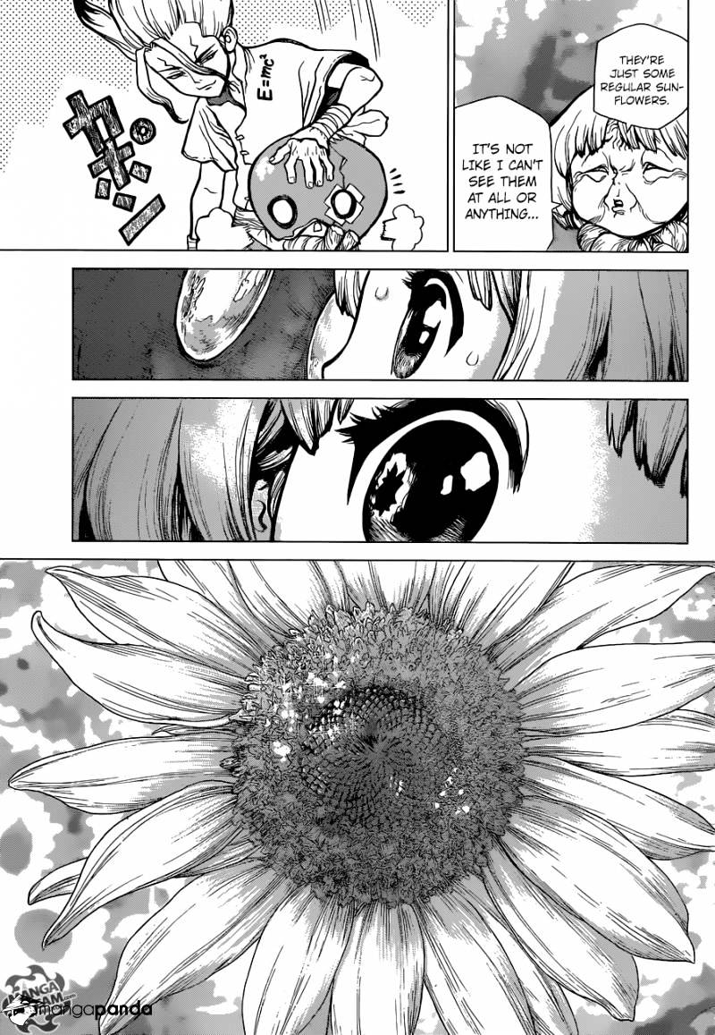 Read DrStone Manga Online