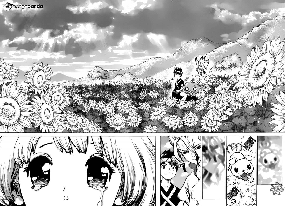 Read DrStone Manga Online