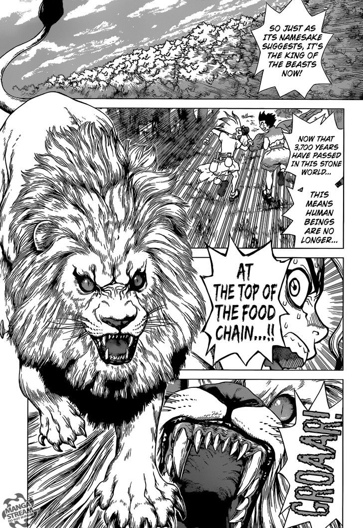 Read DrStone Manga Online
