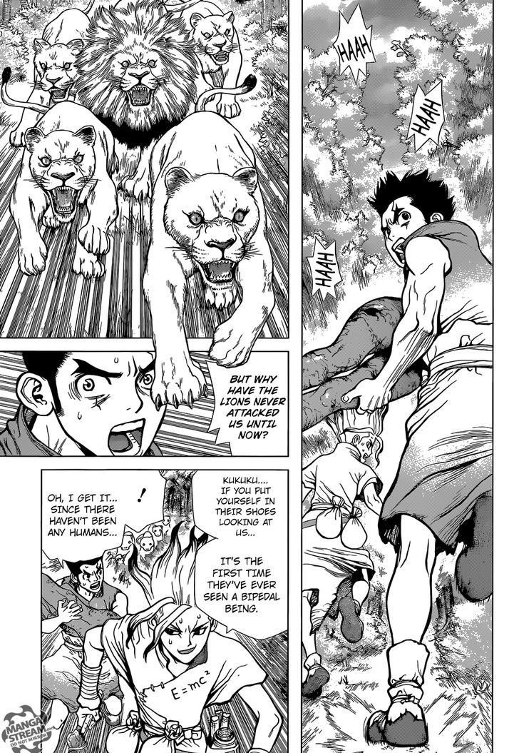 Read DrStone Manga Online