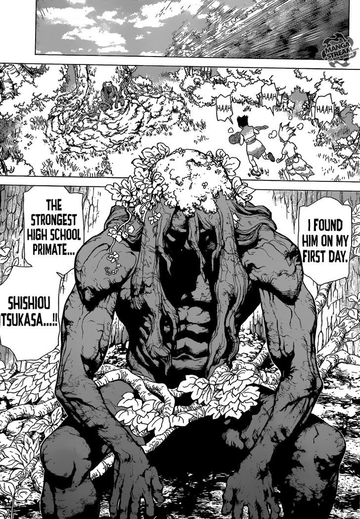 Read DrStone Manga Online