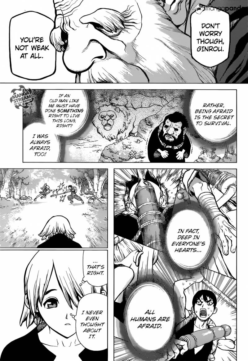 Read DrStone Manga Online