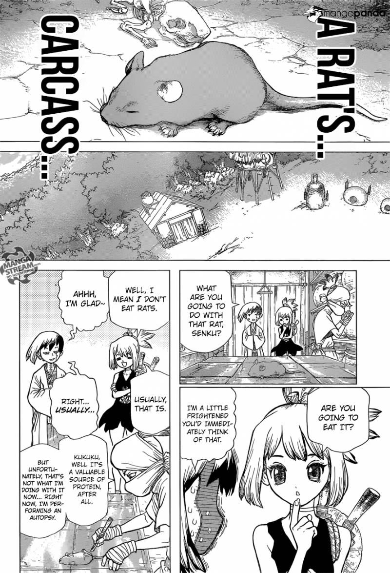 Read DrStone Manga Online