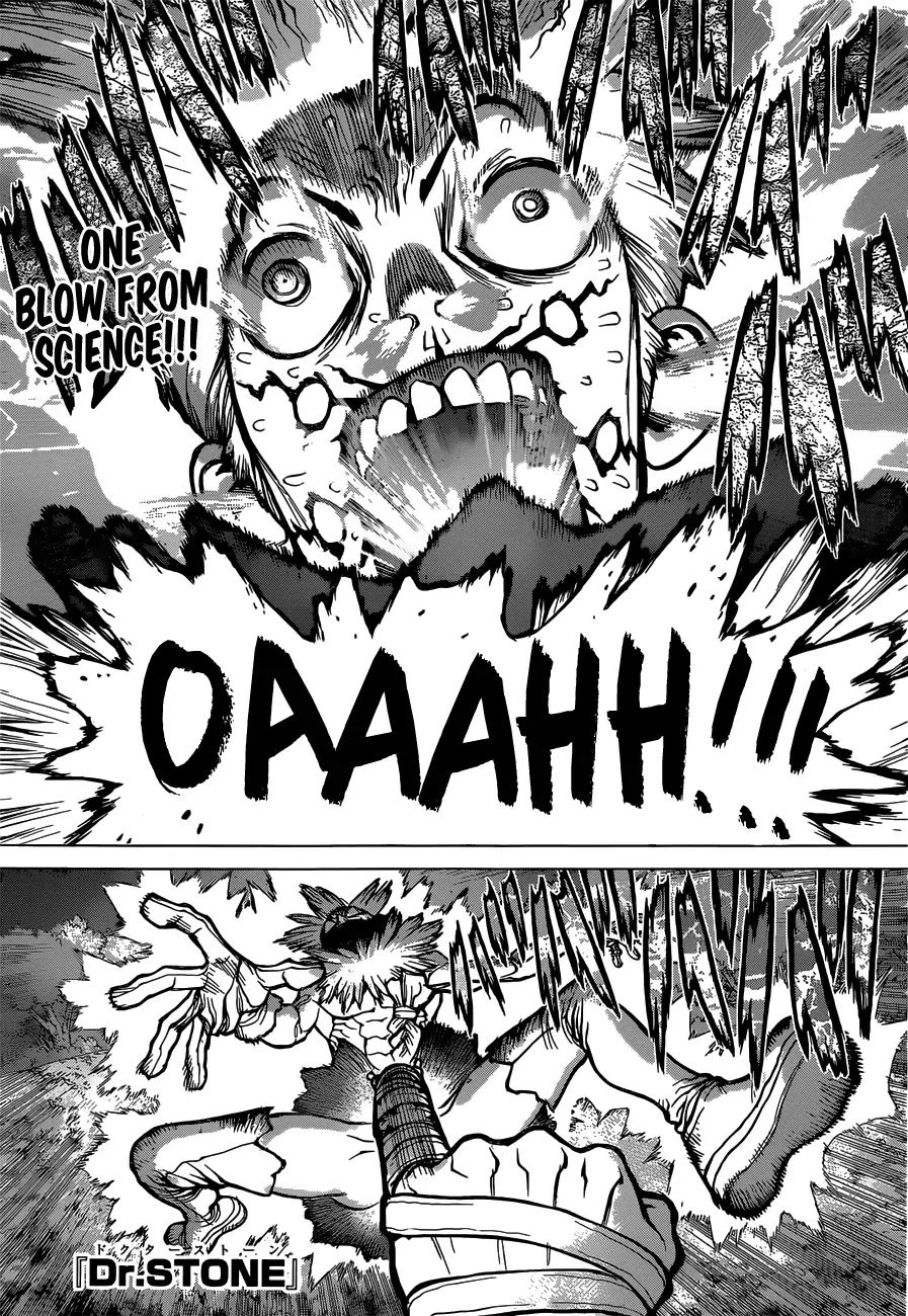 Read DrStone Manga Online