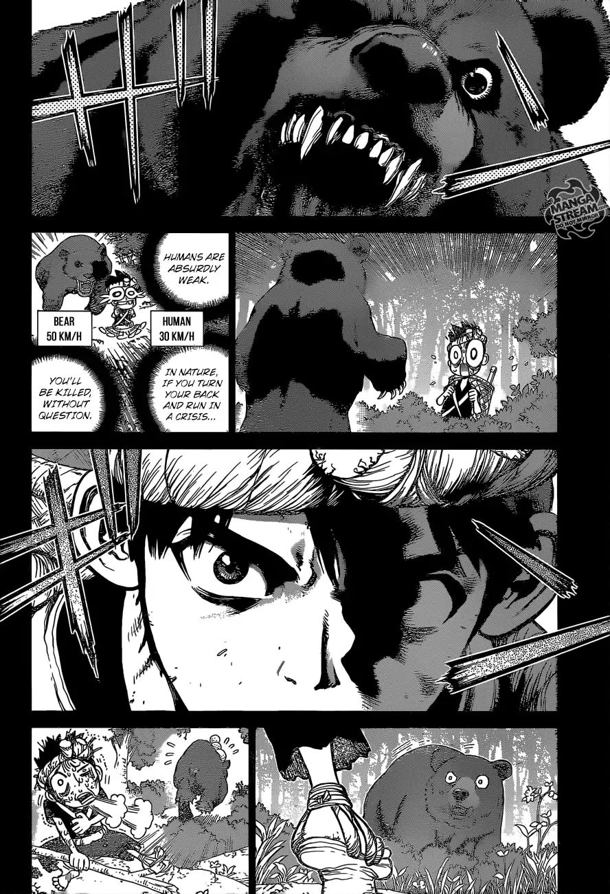 Read DrStone Manga Online