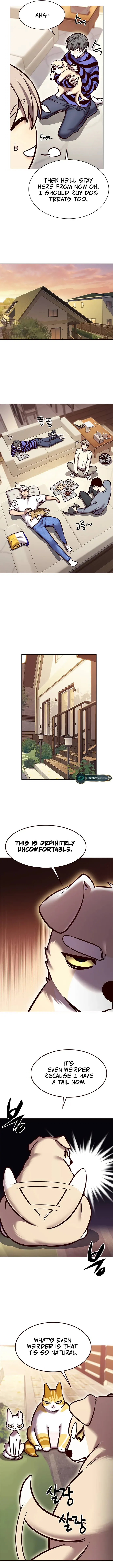 Read Eleceed Manga Online