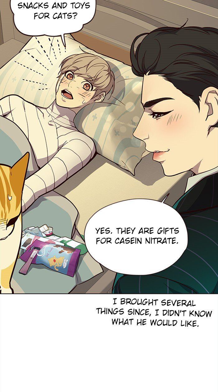 Read Eleceed Manga Online