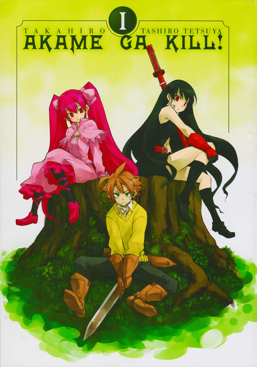 Read Akame ga Kill AR Manga Online
