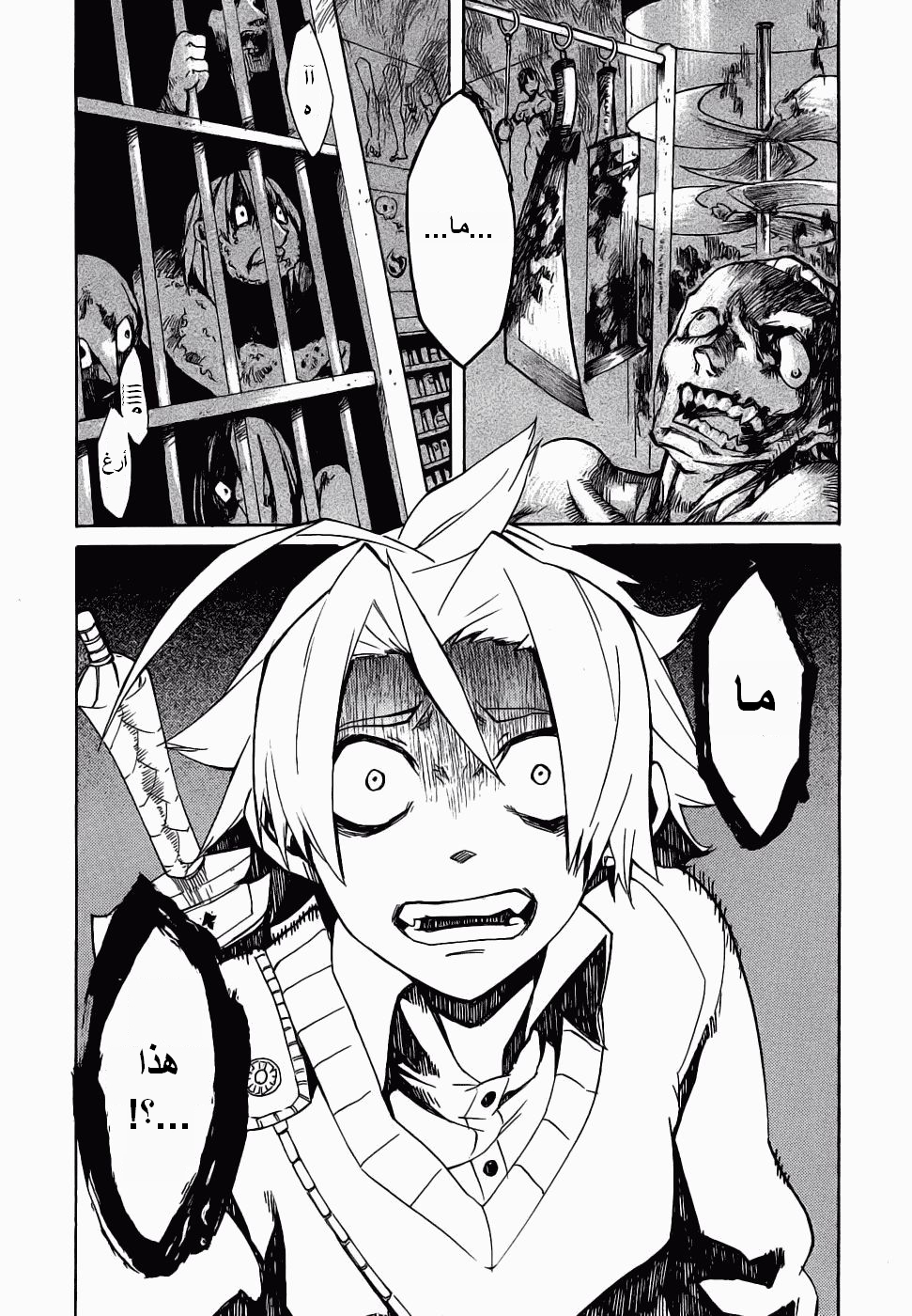 Read Akame ga Kill AR Manga Online