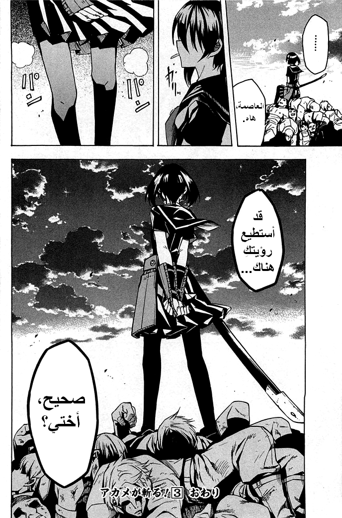 Read Akame ga Kill AR Manga Online