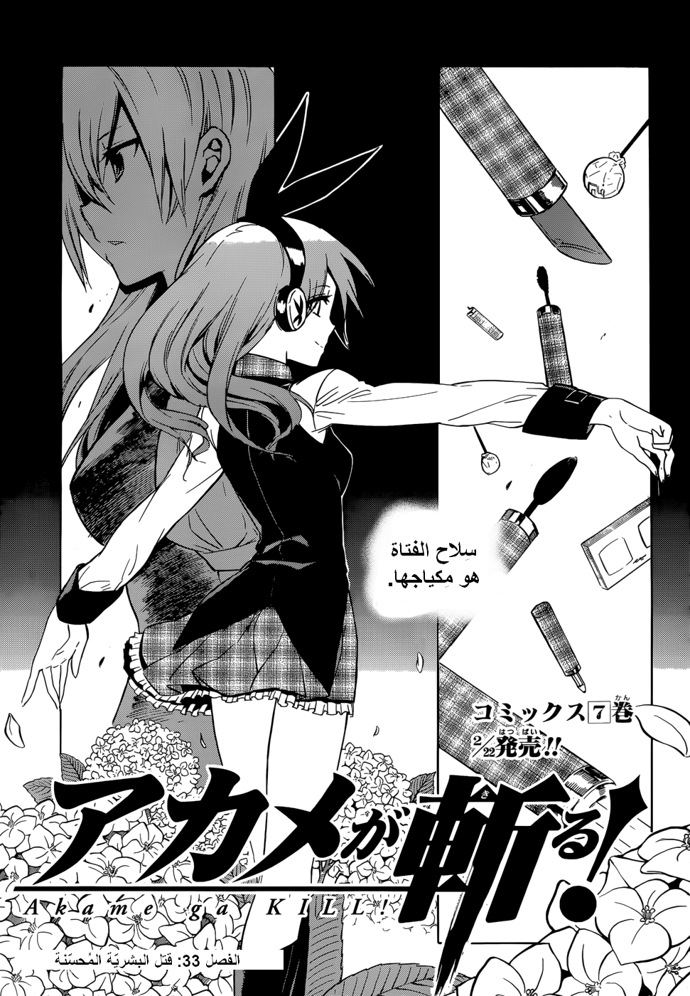 Read Akame ga Kill AR Manga Online