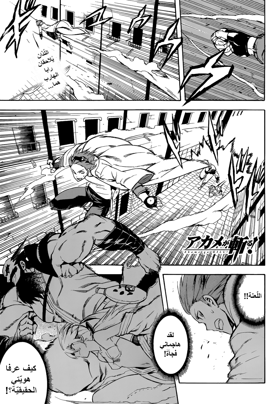 Read Akame ga Kill AR Manga Online