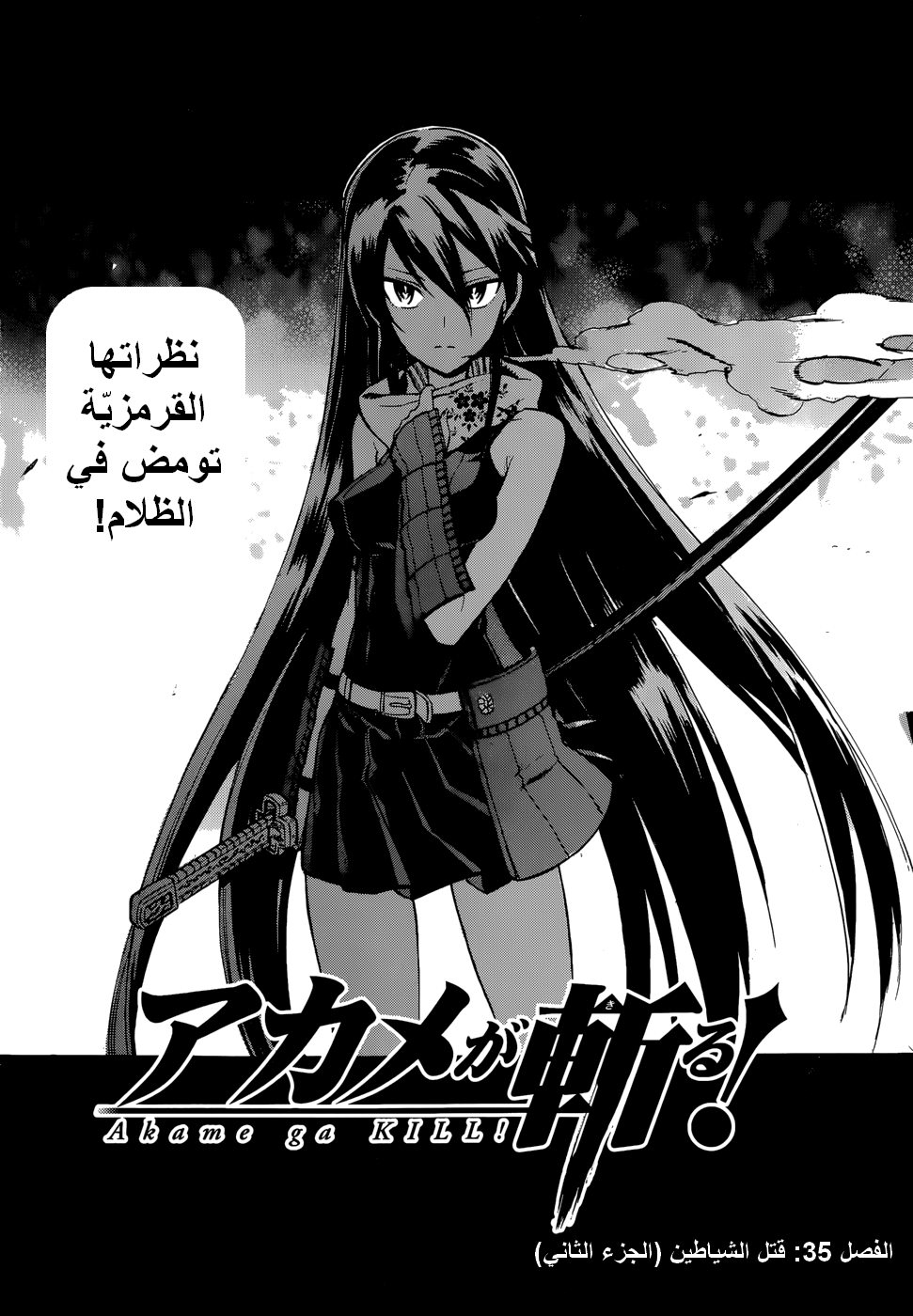 Read Akame ga Kill AR Manga Online