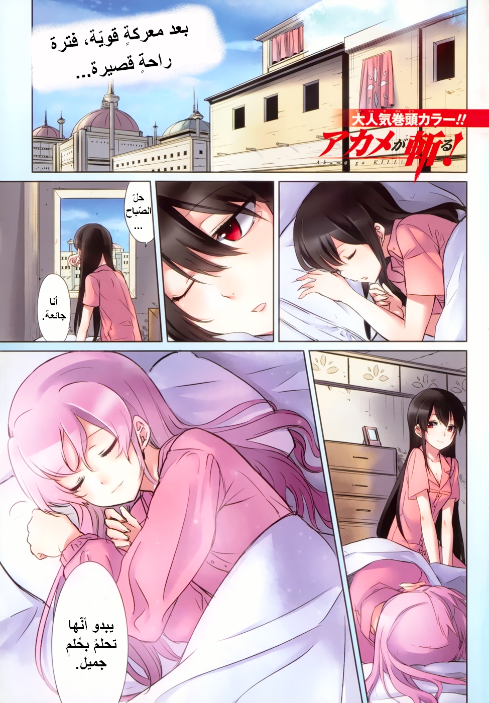 Read Akame ga Kill AR Manga Online