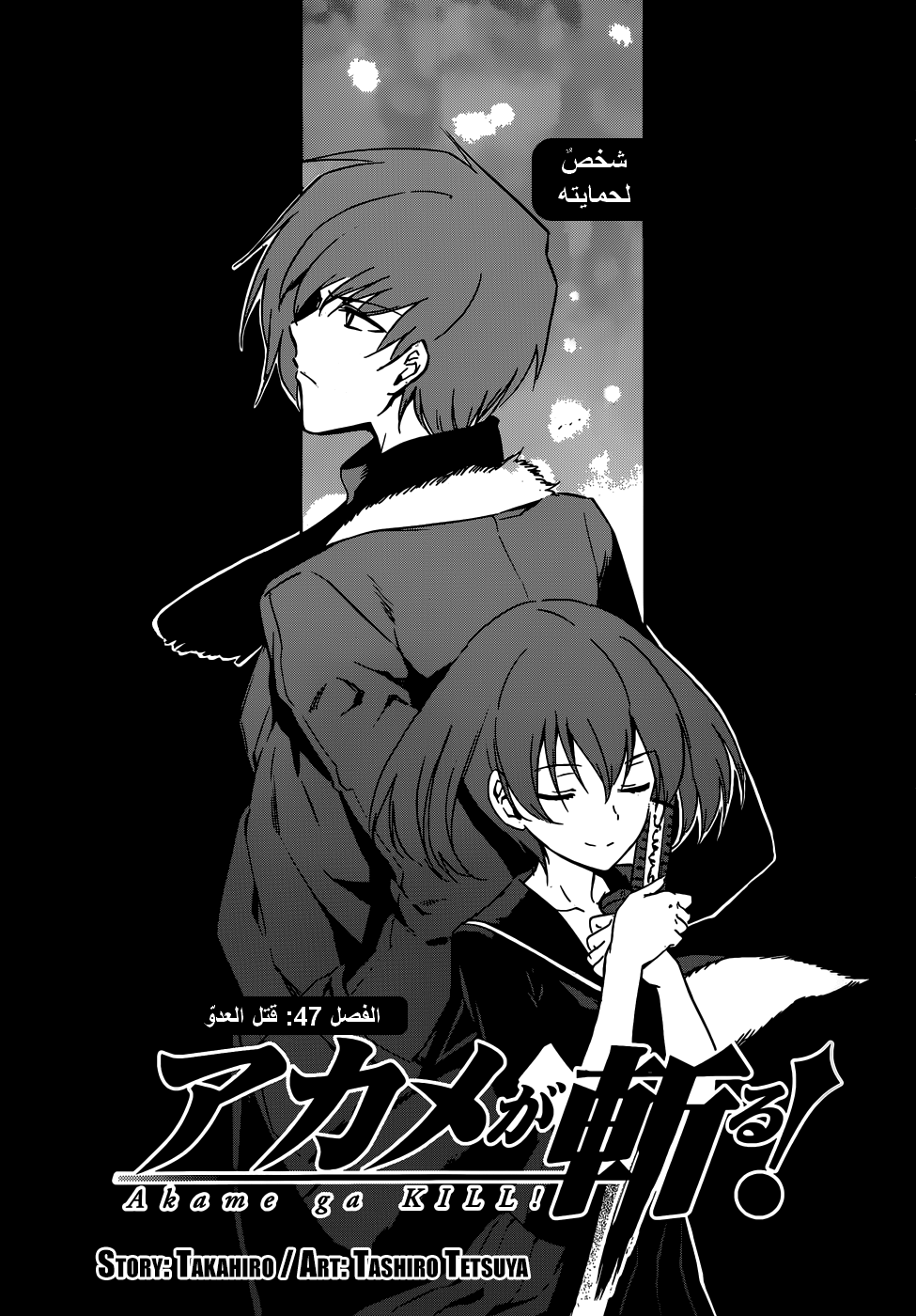 Read Akame ga Kill AR Manga Online