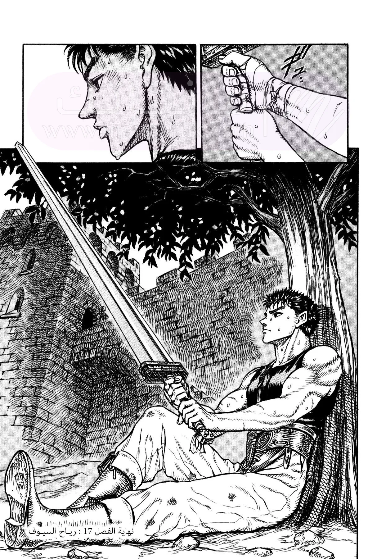 Read Berserk AR Manga Online