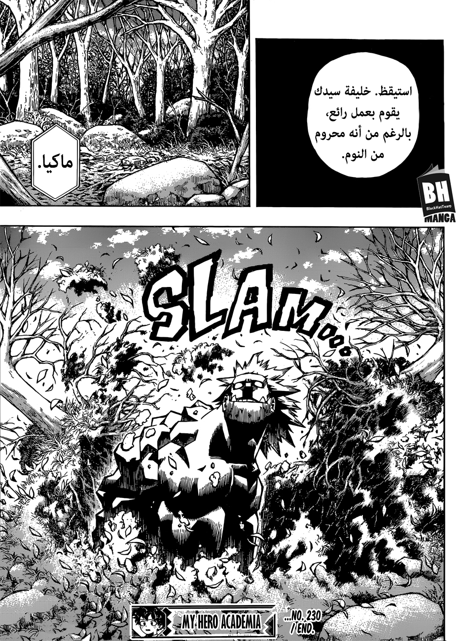 Read Boku no Hero Academia AR Manga Online