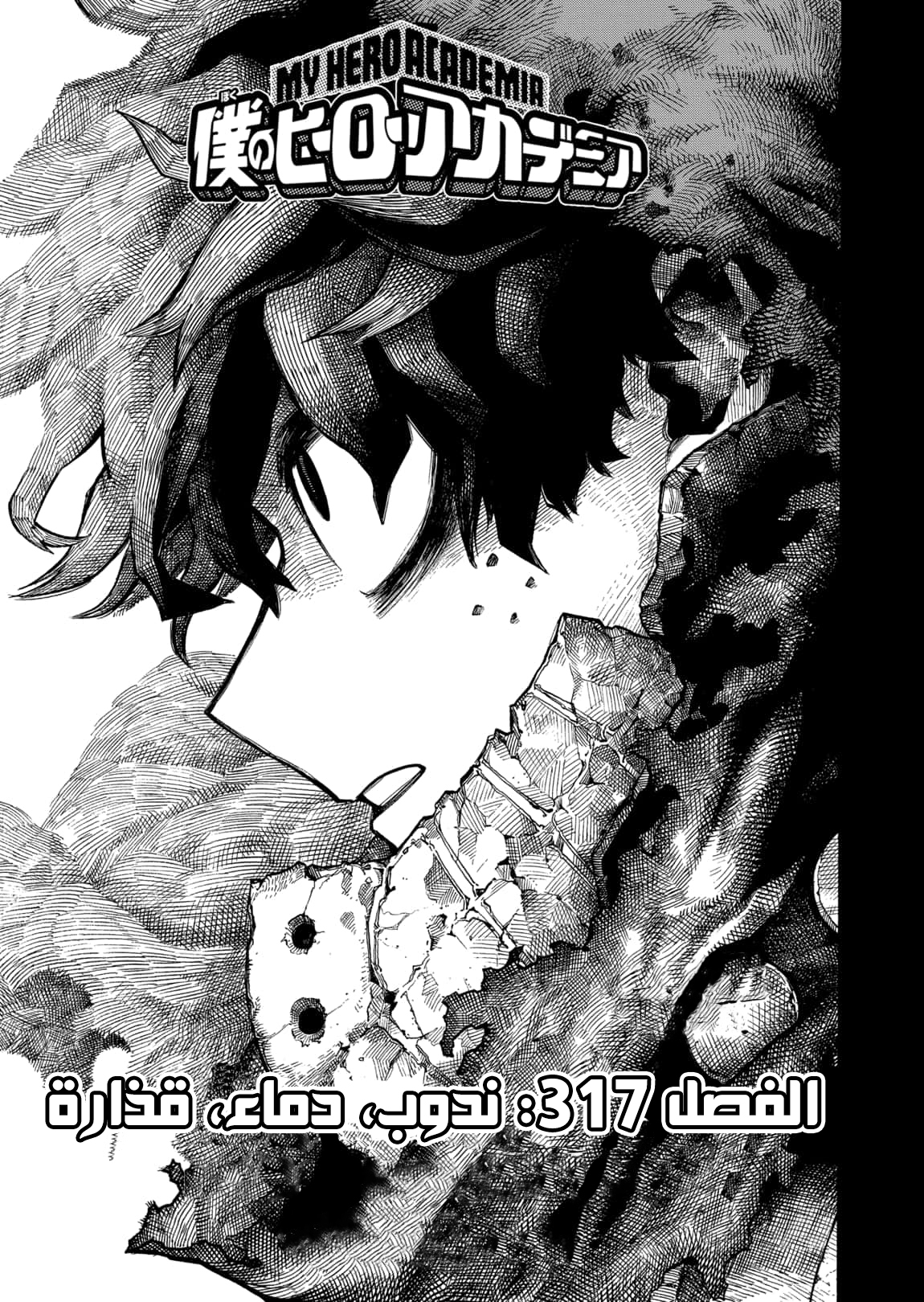 Read Boku no Hero Academia AR Manga Online