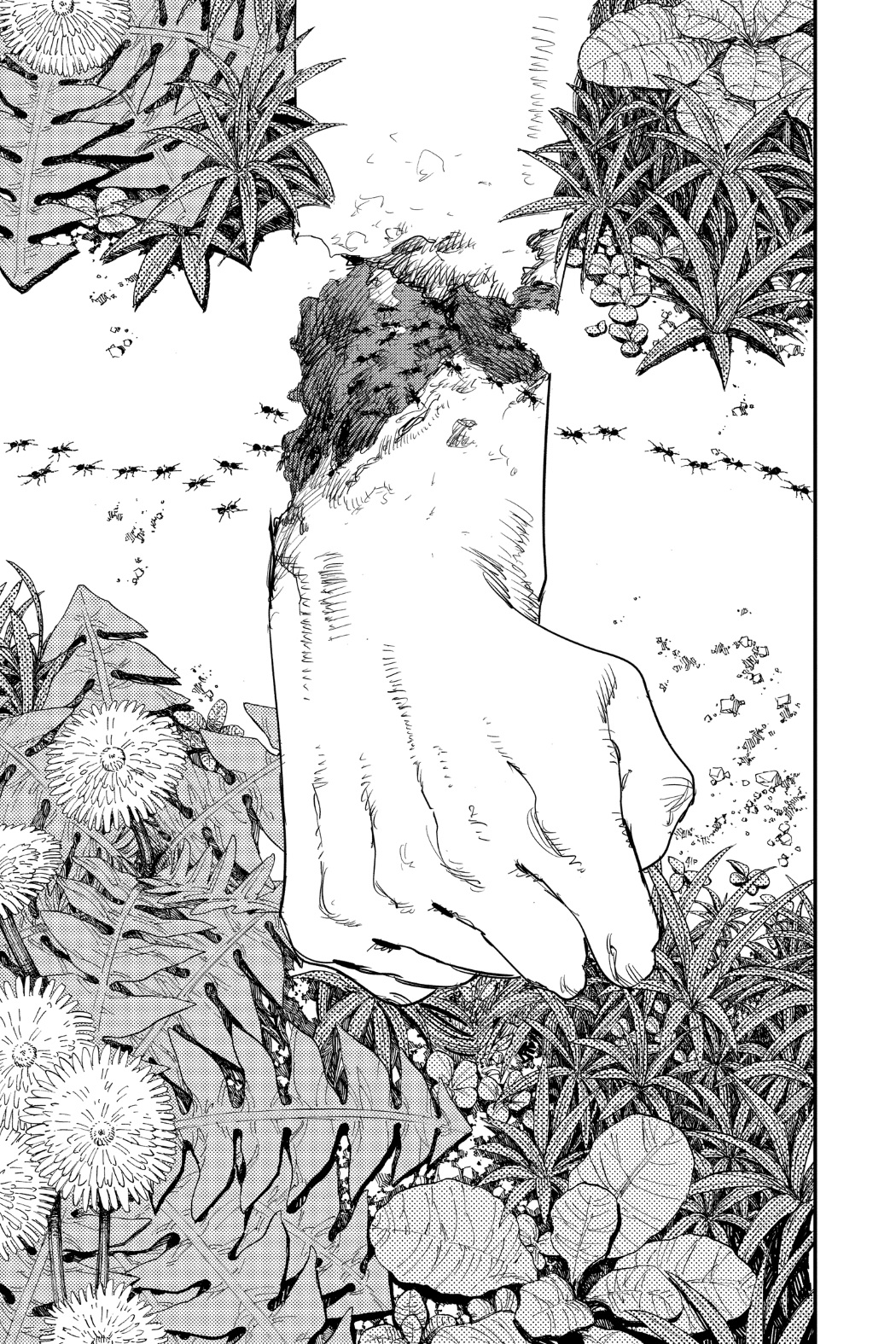 Read Chainsaw Man AR Manga Online