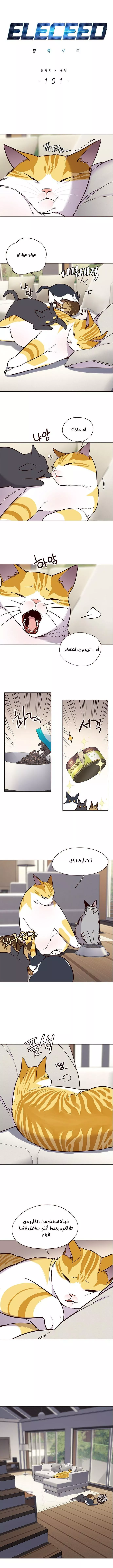 Read Eleceed AR Manga Online