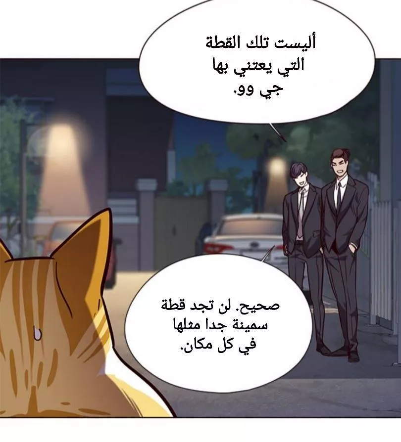 Read Eleceed AR Manga Online