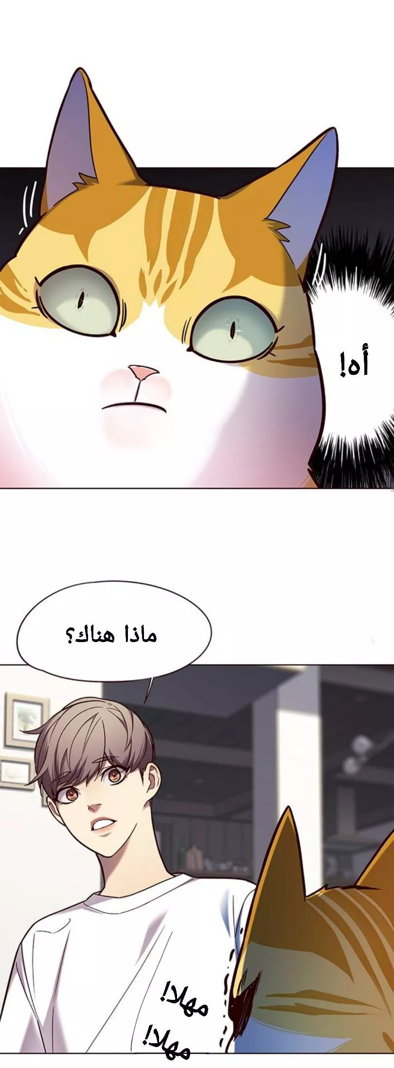 Read Eleceed AR Manga Online