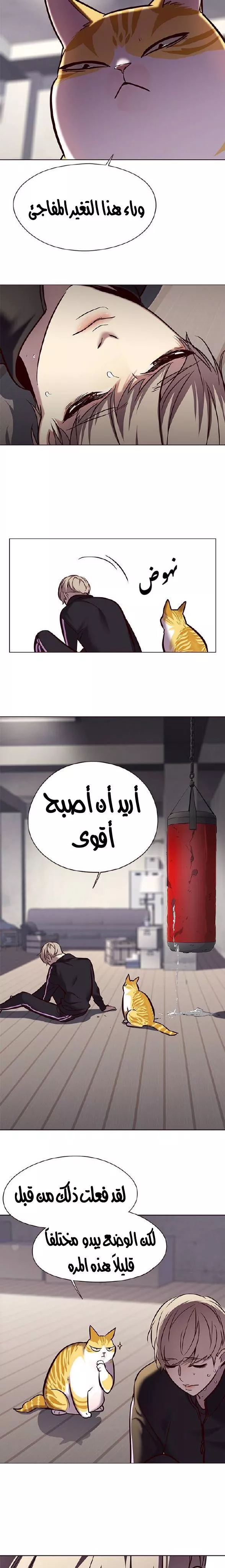 Read Eleceed AR Manga Online