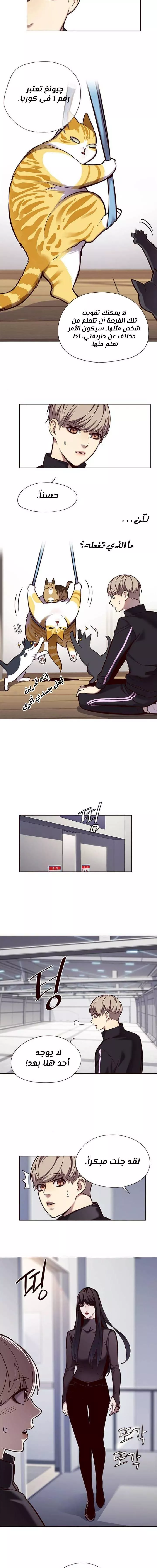 Read Eleceed AR Manga Online