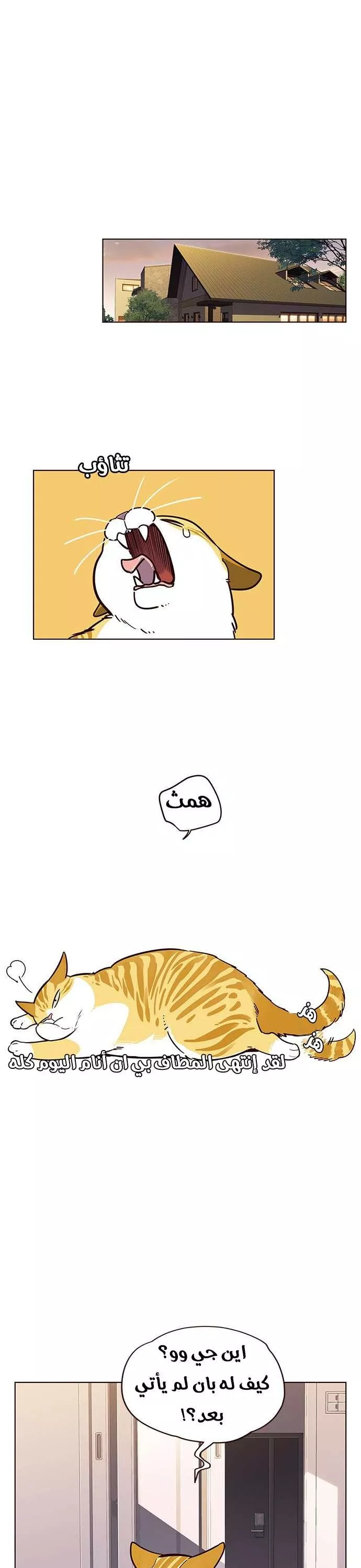 Read Eleceed AR Manga Online