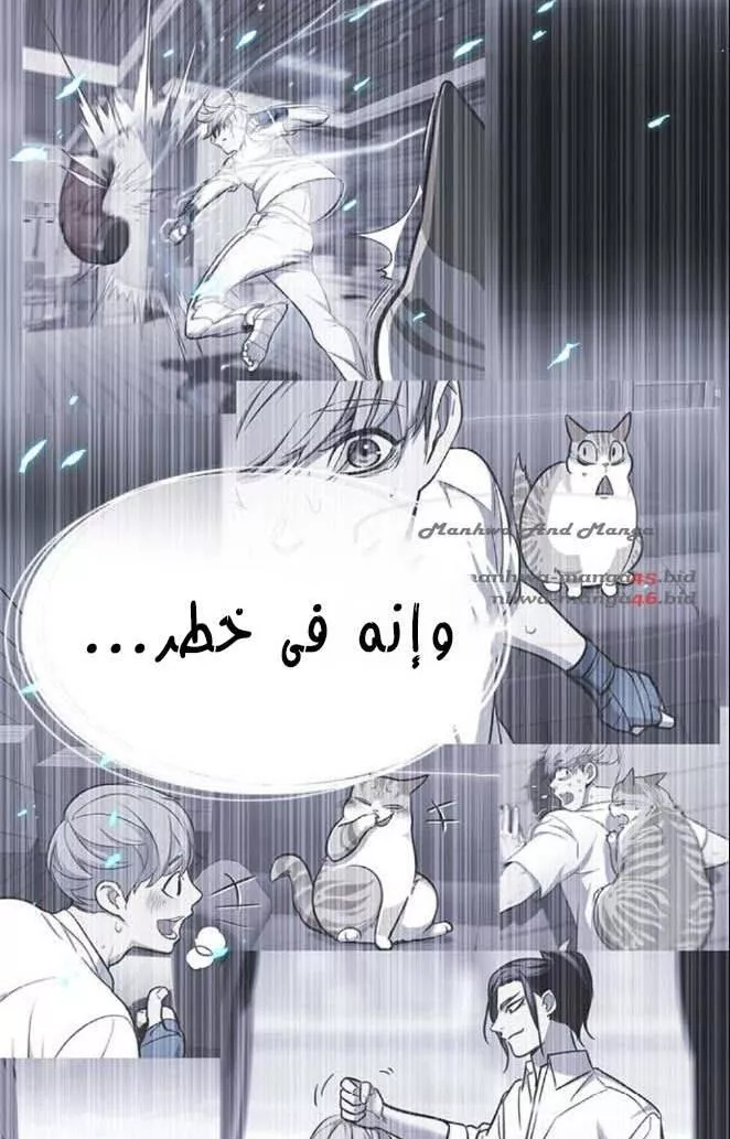 Read Eleceed AR Manga Online