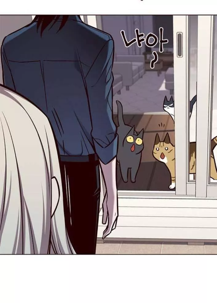 Read Eleceed AR Manga Online