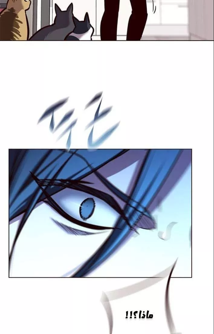 Read Eleceed AR Manga Online