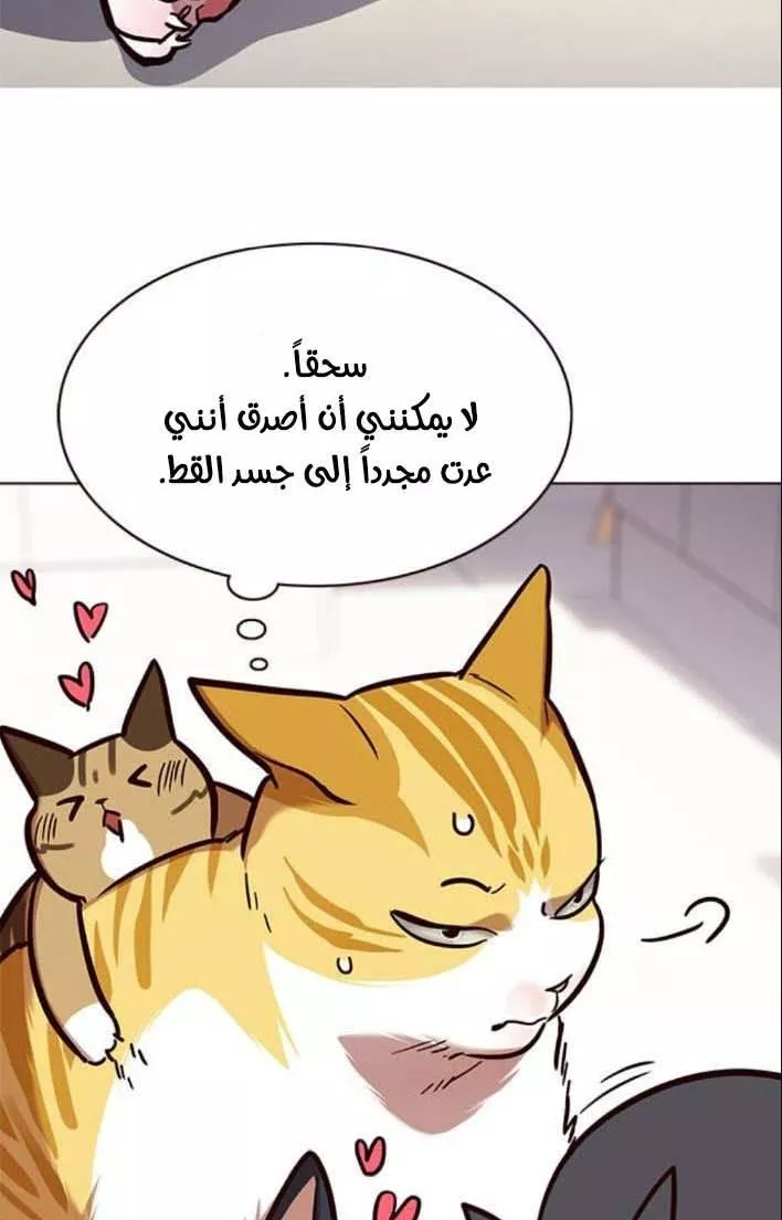 Read Eleceed AR Manga Online