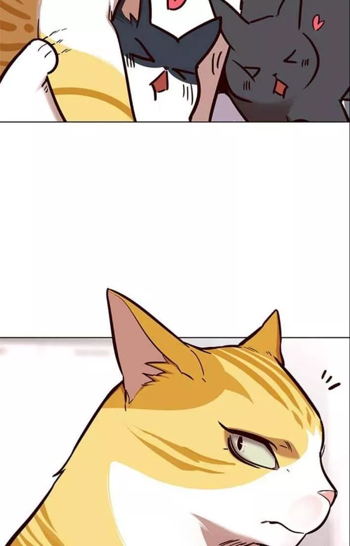 Read Eleceed AR Manga Online