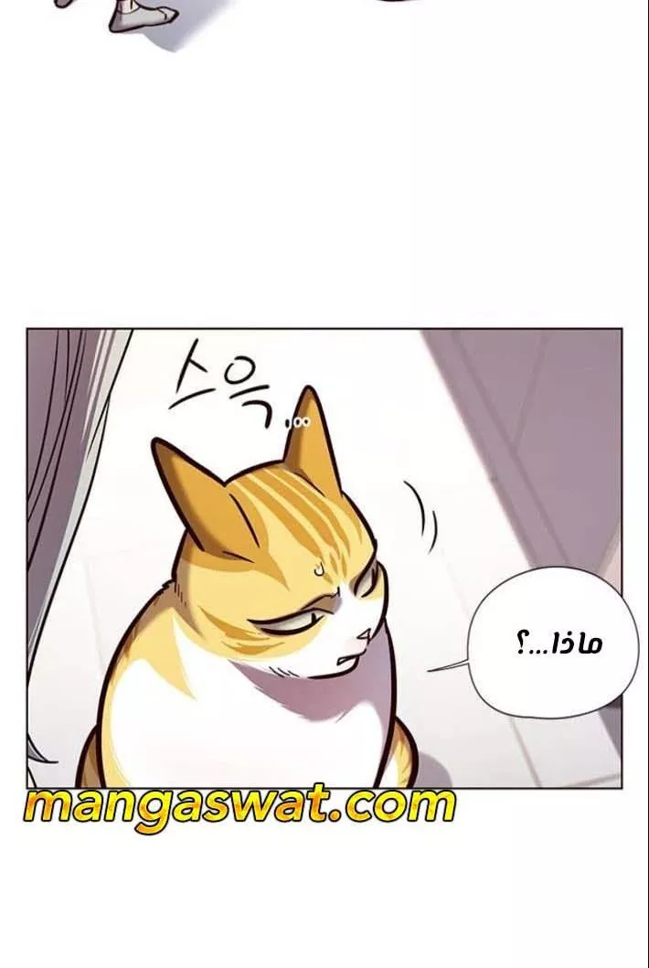 Read Eleceed AR Manga Online